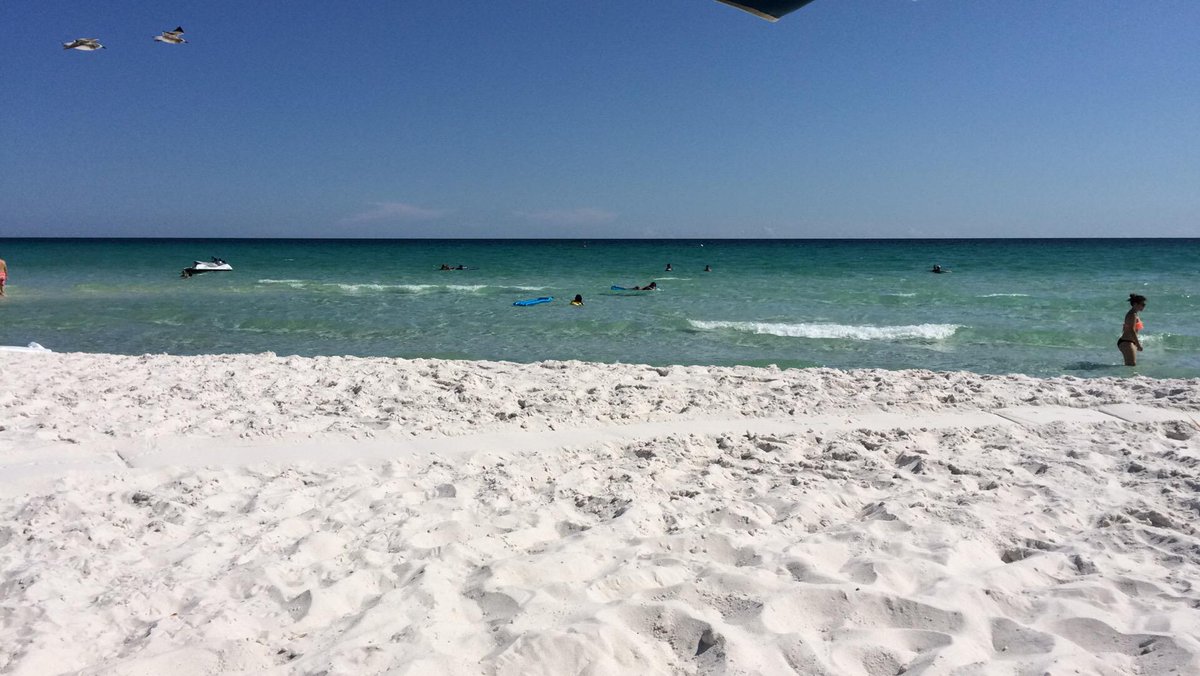 Daniel Walters tweet media