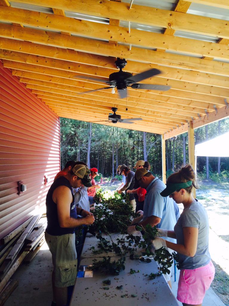 cardinalpine's tweet image. Thanks to everyone that came out to today's harvest. @SweetTatersBrew, @KoiPondBrewing &amp;amp; @bullcitycidery