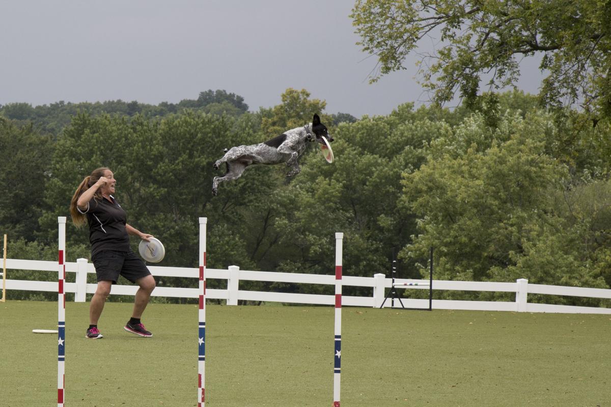 karlvweinrich's tweet photo. Had fun @Purina Farms today watching the dogs catch big air. http://t.co/1nMWOcbseh