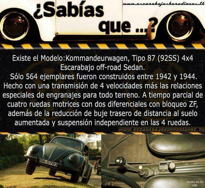 Vochoayuda's tweet photo. #kommandeurwagen #oldbug #oldbugmexico #vocho #vw #Volkswagen http://t.co/Bl2QiiJtII