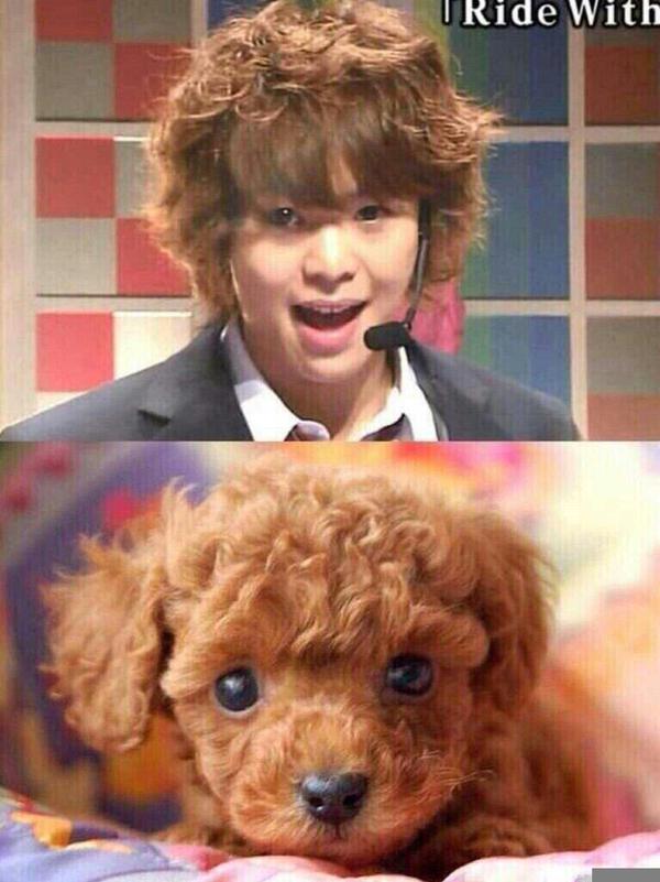 Hey Say Jump ラブ Twitterren 大ちゃんが犬に似てる件について Http T Co Hoxhmhj4aj