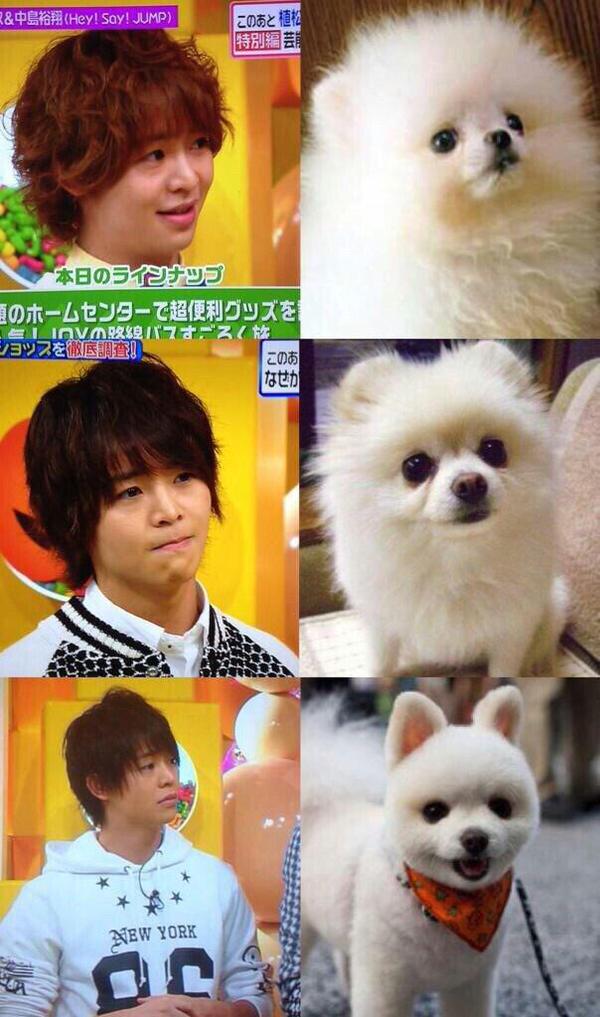 Hey Say Jump ラブ Twitterren 大ちゃんが犬に似てる件について Http T Co Hoxhmhj4aj