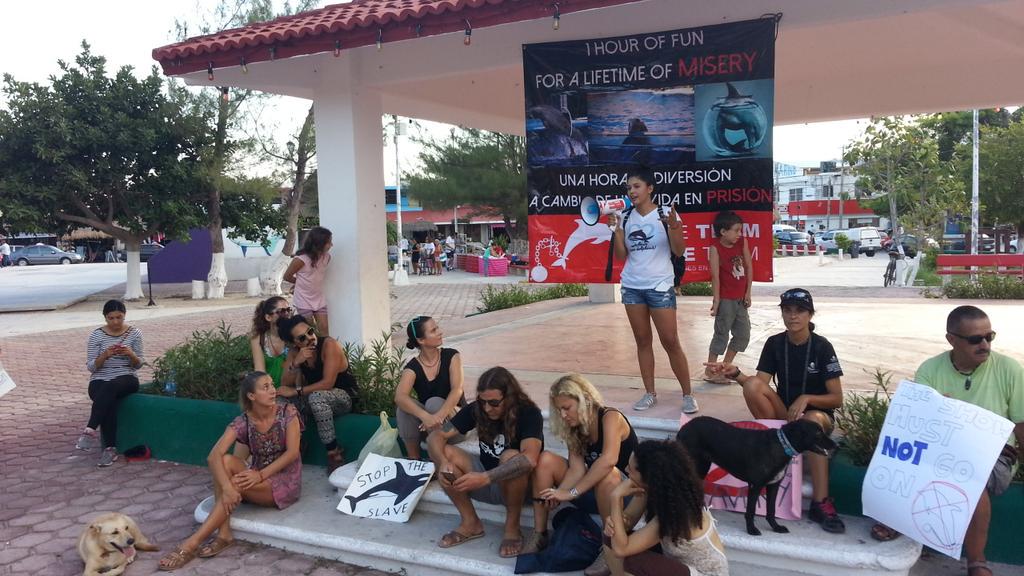 Playahit's tweet photo. Todos somos seres vivos y merecemos vivir en libertad
#StopElCid
@DelfinesEnLbrtd
@DelphinusPR
@XcaretPark http://t.co/WUXmCfxwWF