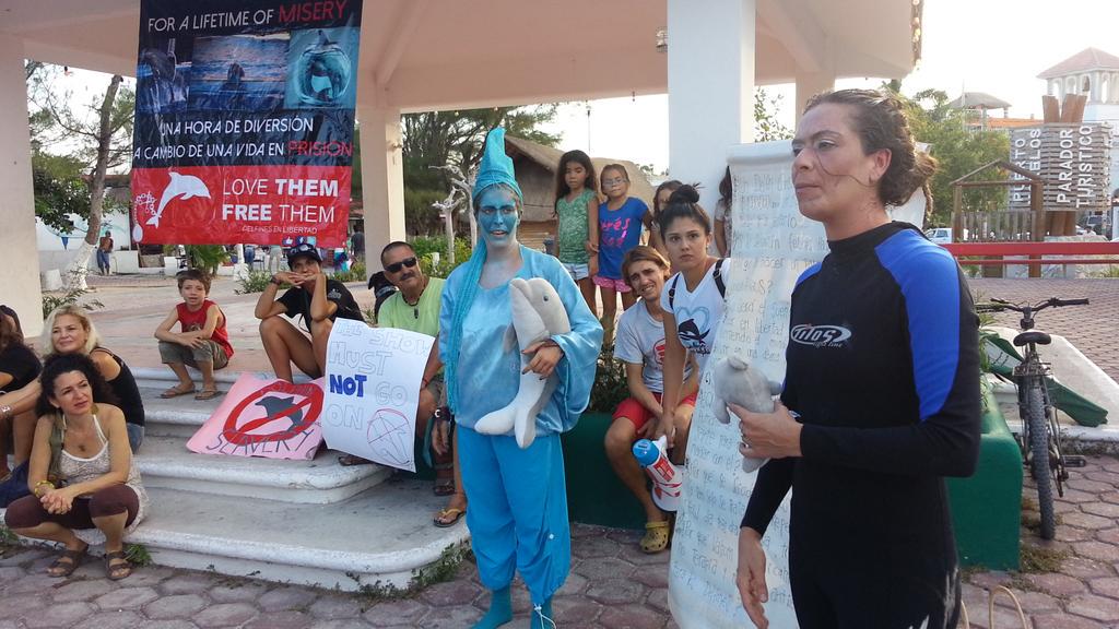 Playahit's tweet photo. Todos somos seres vivos y merecemos vivir en libertad
#StopElCid
@DelfinesEnLbrtd
@DelphinusPR
@XcaretPark http://t.co/WUXmCfxwWF