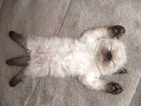 ComedyPosts's tweet photo. Currently feeling http://t.co/z2ZCZzWxQq