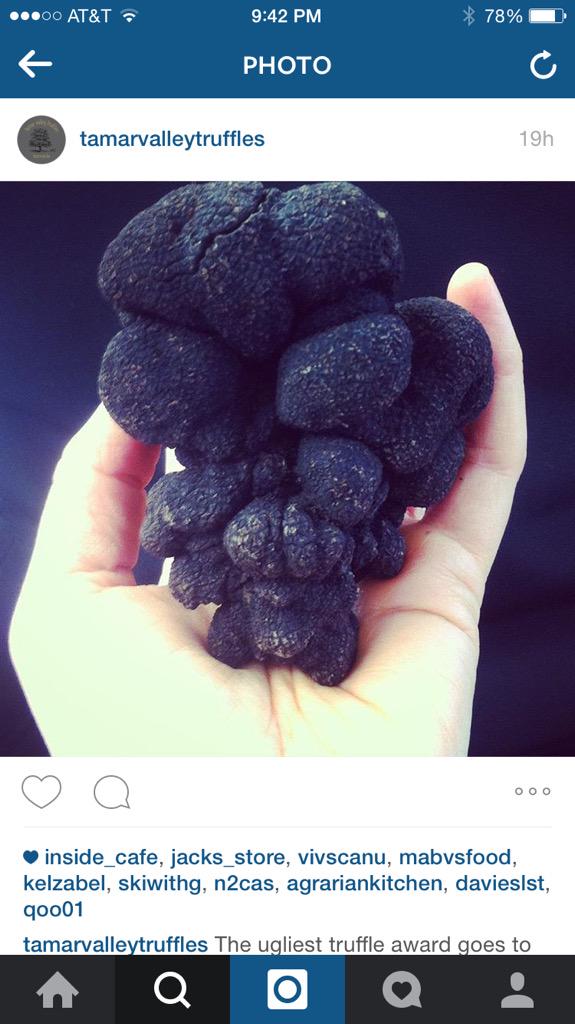 Chefeli1's tweet image. Wish I lived in Australia #blacktruffles