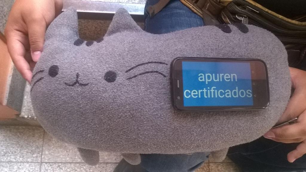 peruhacking's tweet photo. #YosoyConeisc Pusheen reclamando @Ronnie_Arkangel @XimenaPerez94 @cesarluisolivos @ajdalmao @AlvaroEspinozaE http://t.co/9tWZvew1aC