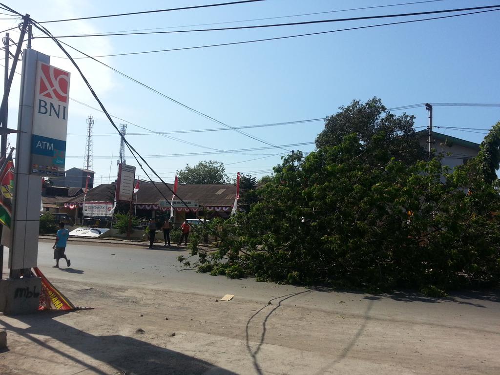 Sebuah pohon tumbang didpn AlfaMidi Kerung2.Kabel listrik putus dan arus lalin terhambat <a href="/Daeng_Info/">Daeng Info</a> <a href="/PLN_Makassar/">PLN Area Makassar</a>