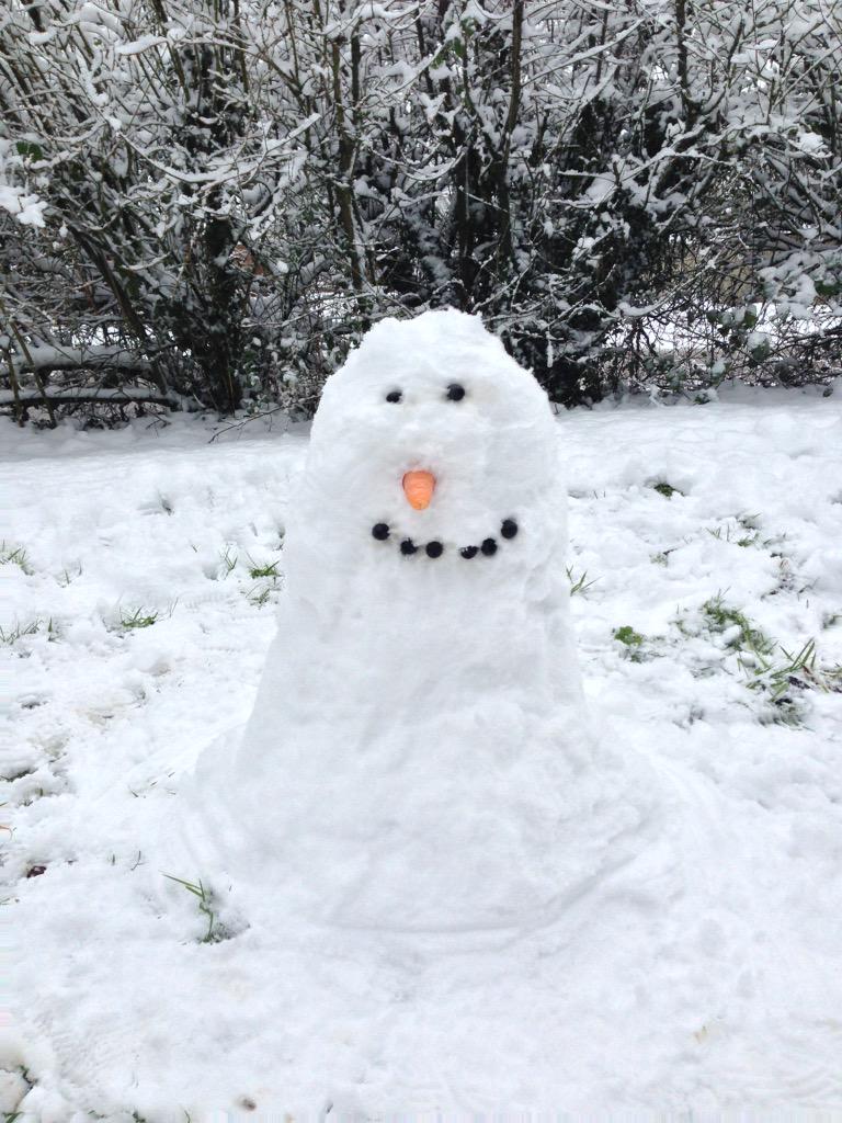 LocalLogs's tweet image. Are you ready for winter? Lovely local seasoned logs ready for delivery now.