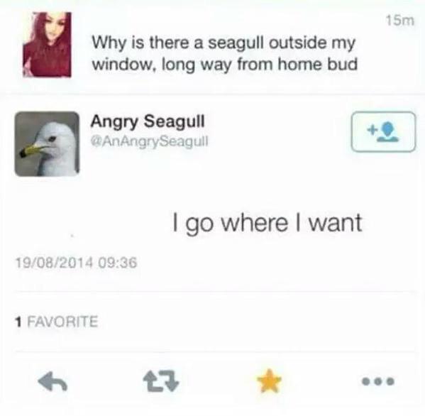 MeninistTweet's tweet photo. I love Twitter 😂 http://t.co/zHM6qRJuck