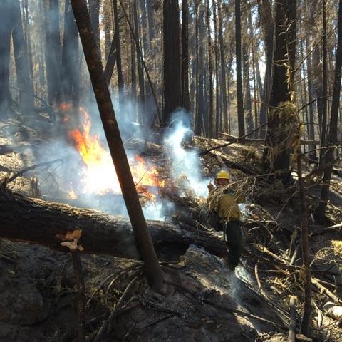 jakeburrus503's tweet photo. When u want to play in the fire and give 0 fucks what the boss says. #stoutsfire #snaporegon #firefighting http://t.co/wzw17MM7zr