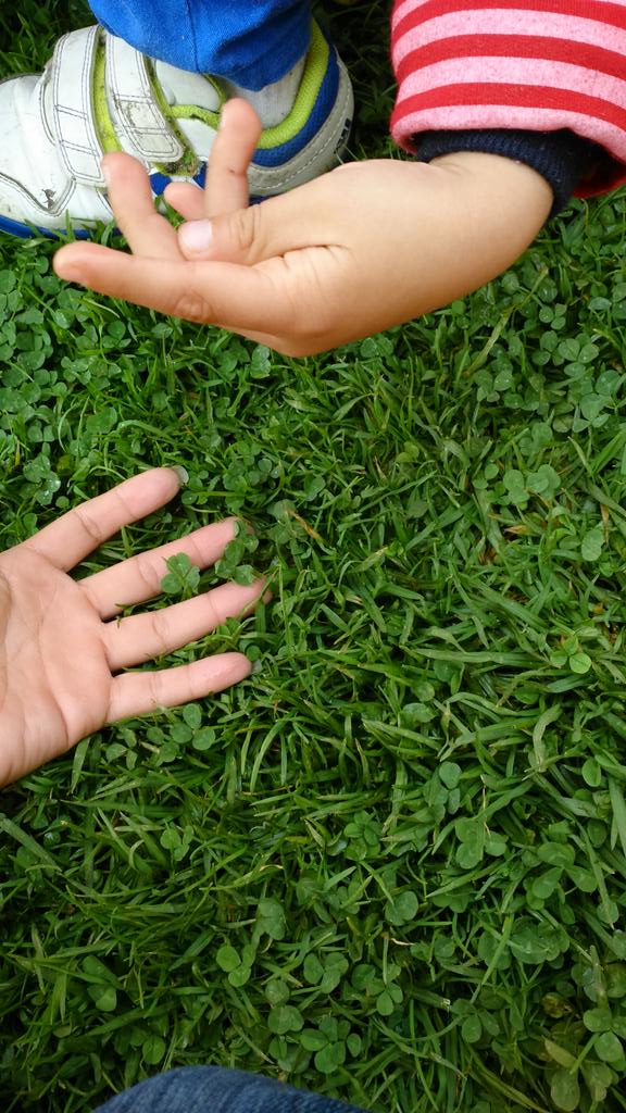veth_soy's tweet photo. Además de entrenar el cuerpo también hay que hacerlo con la mente y el espíritu
#YoCorroAMiRitmo
#TemazcalTime 🙏🍃☺ http://t.co/I7izkzt6eY