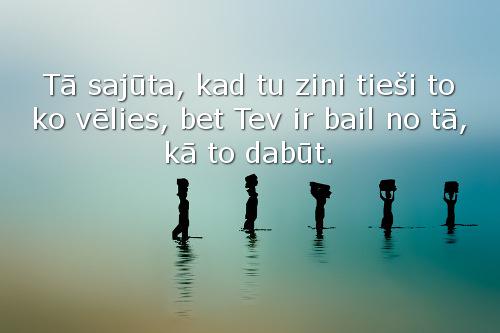 ZvaigznuTulks tweet picture