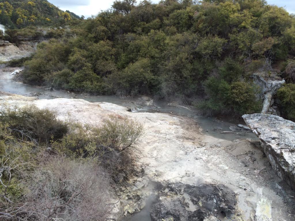 BeksChar's tweet image. Rotorua