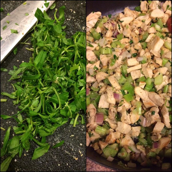 Chicken, Onions, Walnuts, Tarragon, cook then roll in celery &amp; apple cider vinegar. Then use Greek yogurt<a href="/tag/monstercurves"class="tags"><span>#monstercurves</span></a>