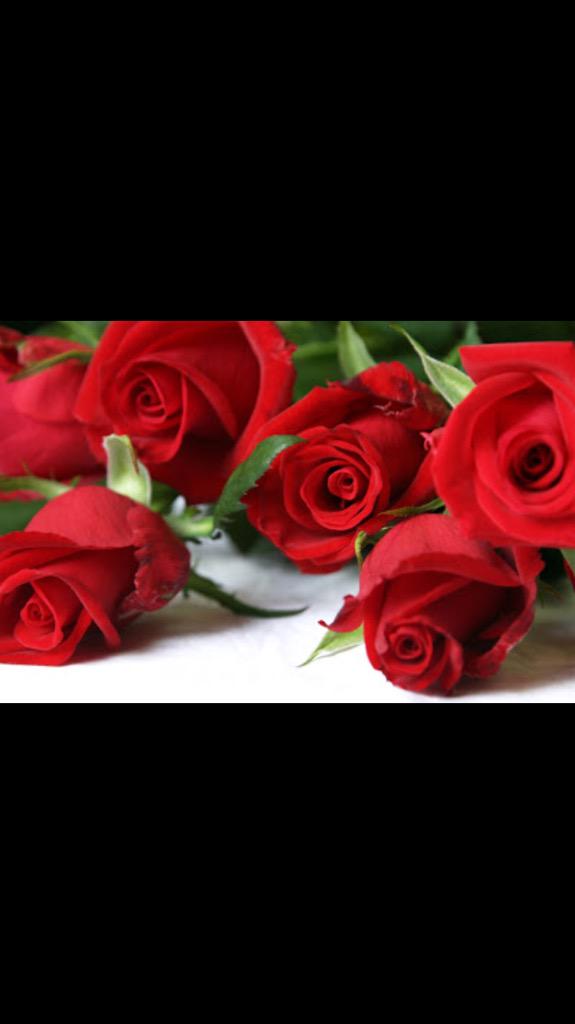 صبآح الخير ،،🌹🌹