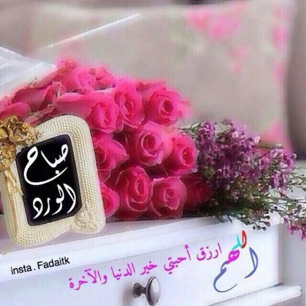 ALbasrah_87's tweet photo. http://t.co/n55CATrddl