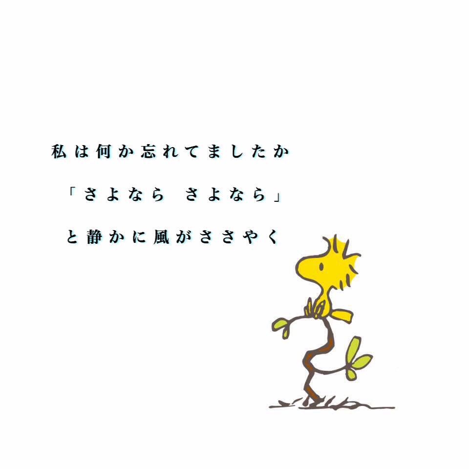 歌詞 ポエム画 Sur Twitter 花鳥風月 Sekai No Owari 花鳥風月 セカオワ Http T Co M1nluxdmcq