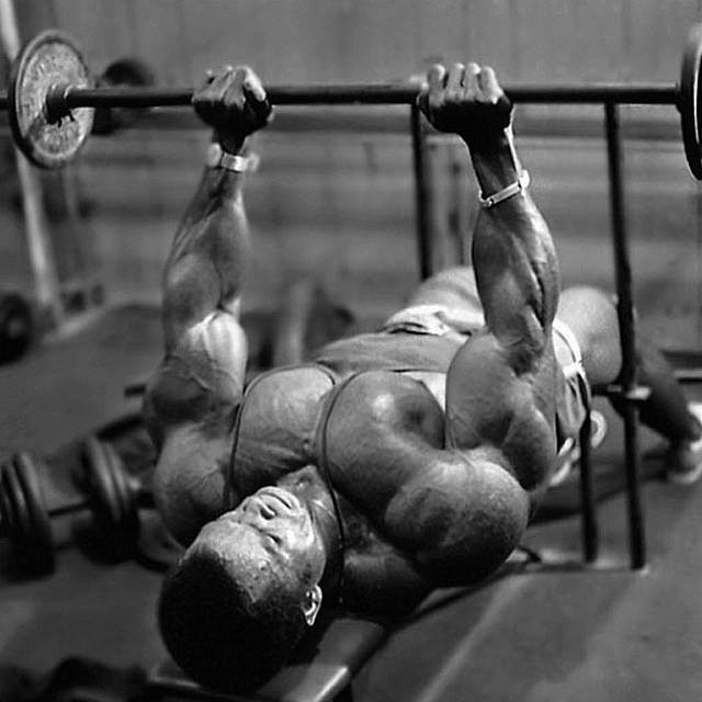 thefitnish's tweet photo. The massive #SergioNubret!
#fitguys #guysthattrain #guysthatsquat #bodybuilding #ifbb #fitness http://t.co/hZjBSqyhGu
