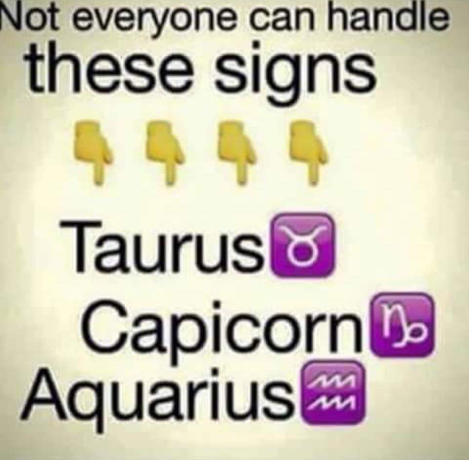 palomaroo's tweet image. 