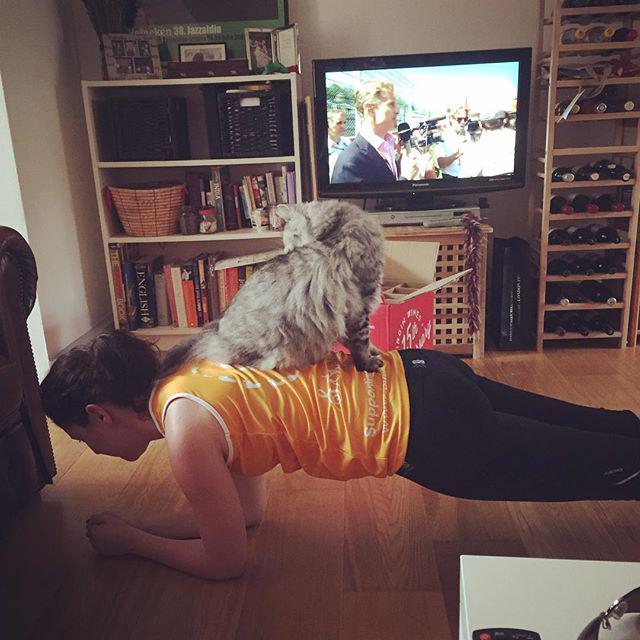 drrachrich's tweet image. Got a helper. #catspam #catpilates ift.tt/1MGwGaw