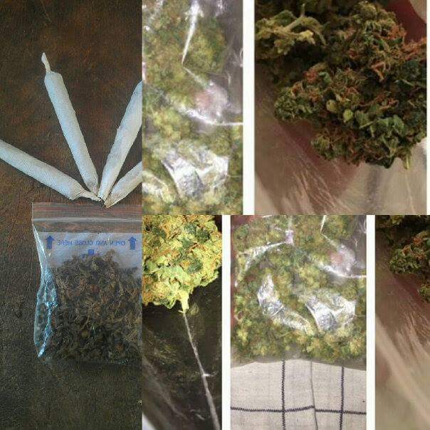Hw would u like 2 smoke some weed....