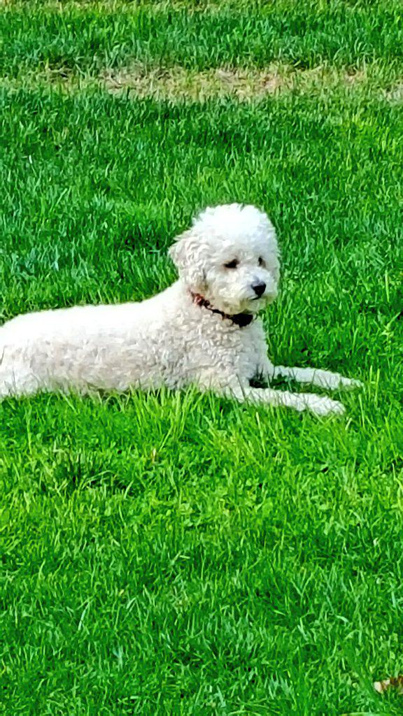 DebbieMeehan3's tweet photo. @AmyFreeze7 http://t.co/S6uGbhtwtS