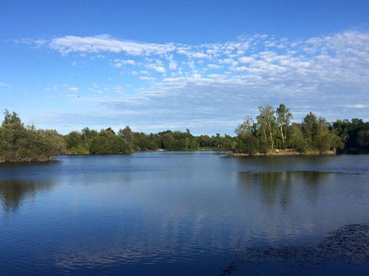 rich982's tweet image. RK Leisure Wrasbury one Jason's Swim  #TeamShenton #PromoMember #EvolutionCarpTackle  #NEB #QualityBaitMoreTakes