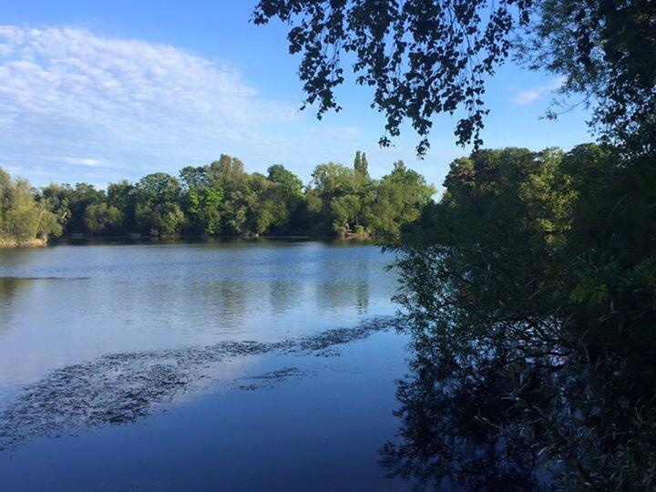 rich982's tweet image. RK Leisure Wrasbury one Jason's Swim  #TeamShenton #PromoMember #EvolutionCarpTackle  #NEB #QualityBaitMoreTakes