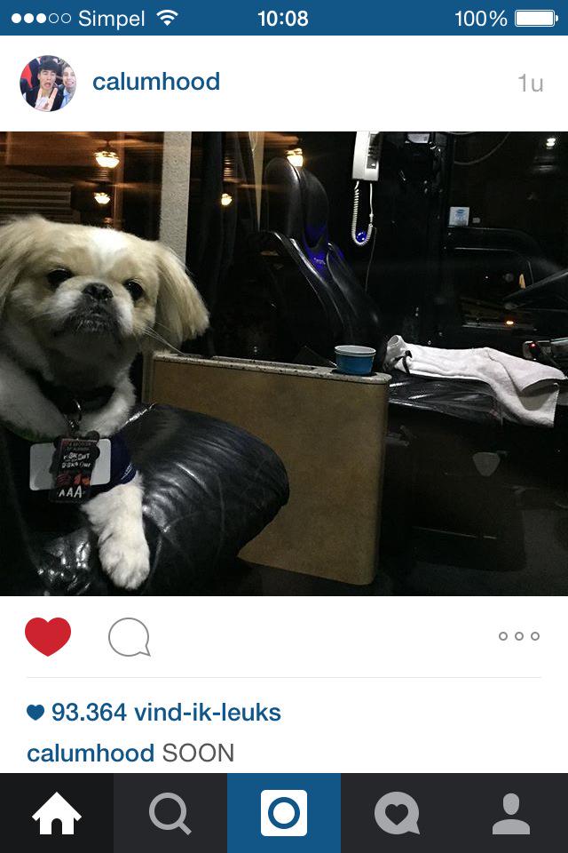 5SOSUpdatingWW_'s tweet image. Cal posted this on insta an hour ago :). ~F