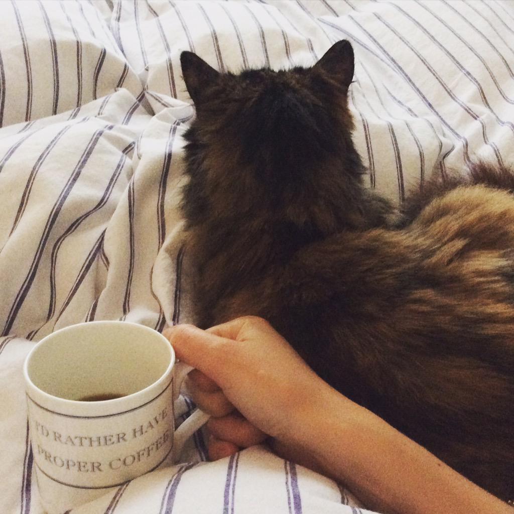 Great start to a Sunday, although the mug lies, it's full of fantastic coffee from <a href="/cafesbelleville/">Belleville Brûlerie</a>