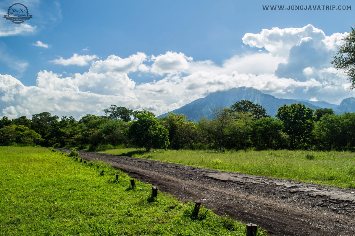 jongjavatrip's tweet image. 3. Terkenal dengan nama africa van java, atau padang savanna terluas di jawa & terletak di baluran lho #overlandjava