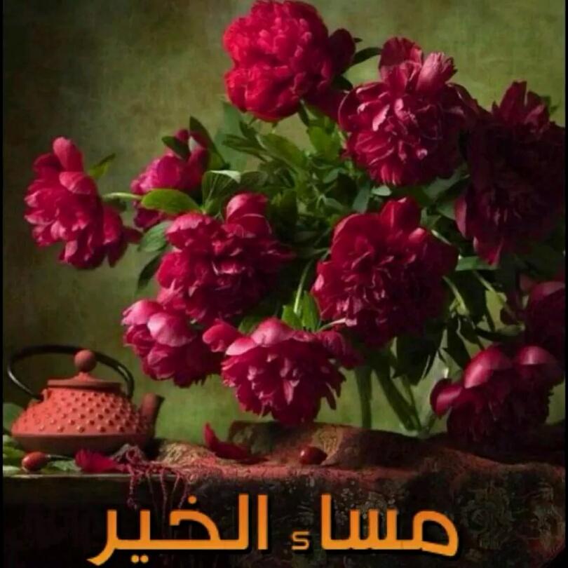 Zena2019's tweet photo. @112233qwerzxc @snst22122 @Nessma_20 @diaastar15 @AhmadBallan4 @d381101b73c7413 @F10176 @shokrytigar @Mak844 http://t.co/xaHSXpLN3T