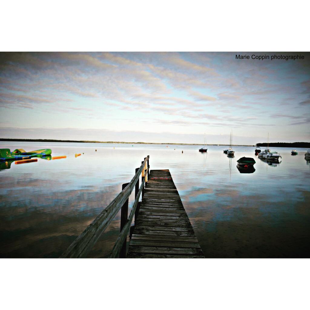 PhotoCoppinM's tweet photo. "L'apparence requiert art et finesse; la vérité, calme et simplicité" #MarieCoppinPhotographie #lacanau #moutchic http://t.co/snZyimERFG