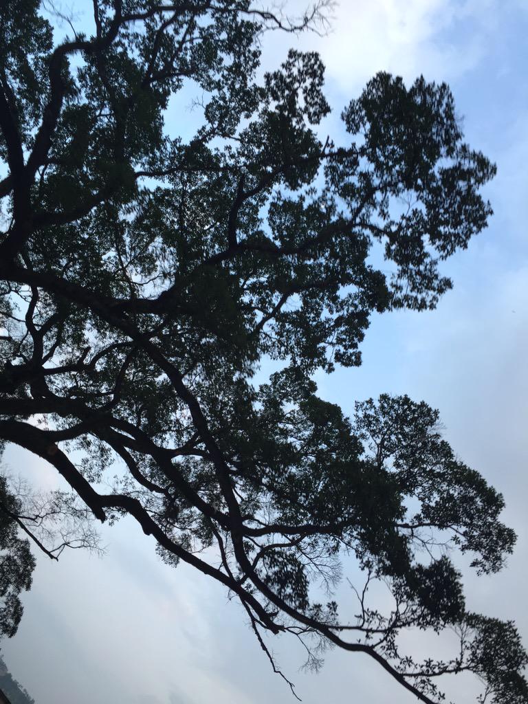T_Mac_Wan's tweet photo. Looooove the sky！ http://t.co/yLX6kCl6Zp