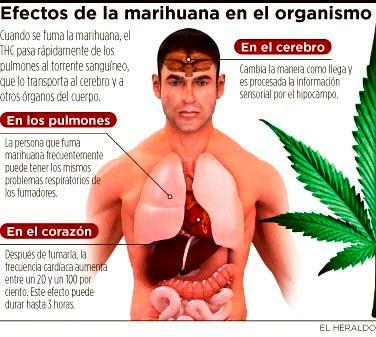comodejar tweet picture