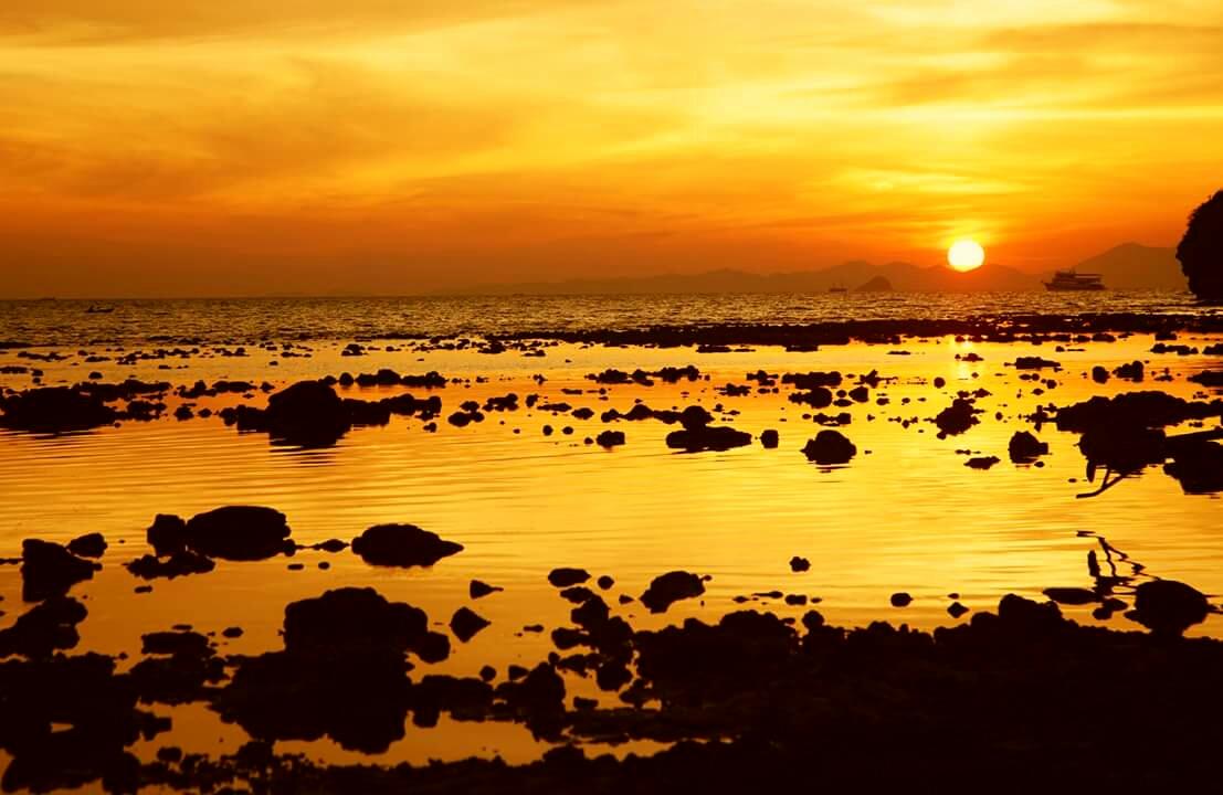 me5205203732's tweet image. 