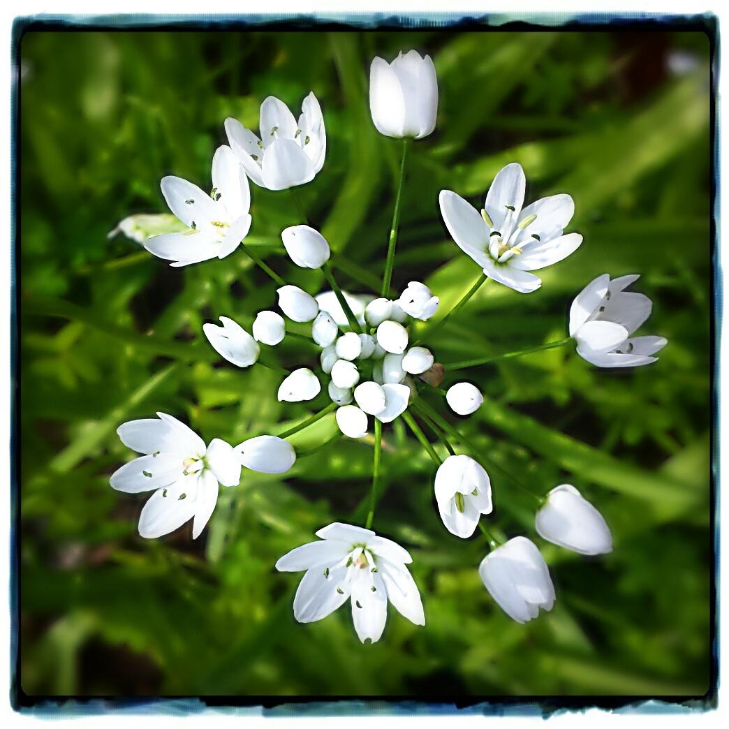 Well2_Adelaide's tweet photo. http://t.co/TU7NnoOwu1