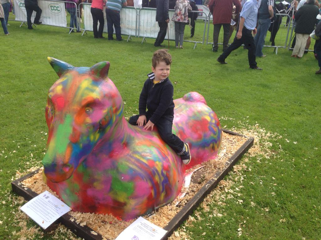 Limerick Show tweet media
