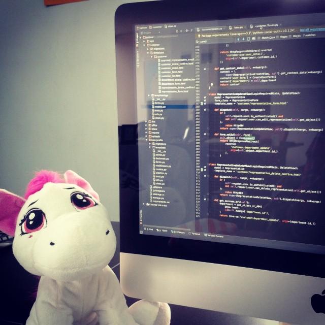 DynamicWebPaige's tweet image. aaaaaaa #DjangoPony is cute af