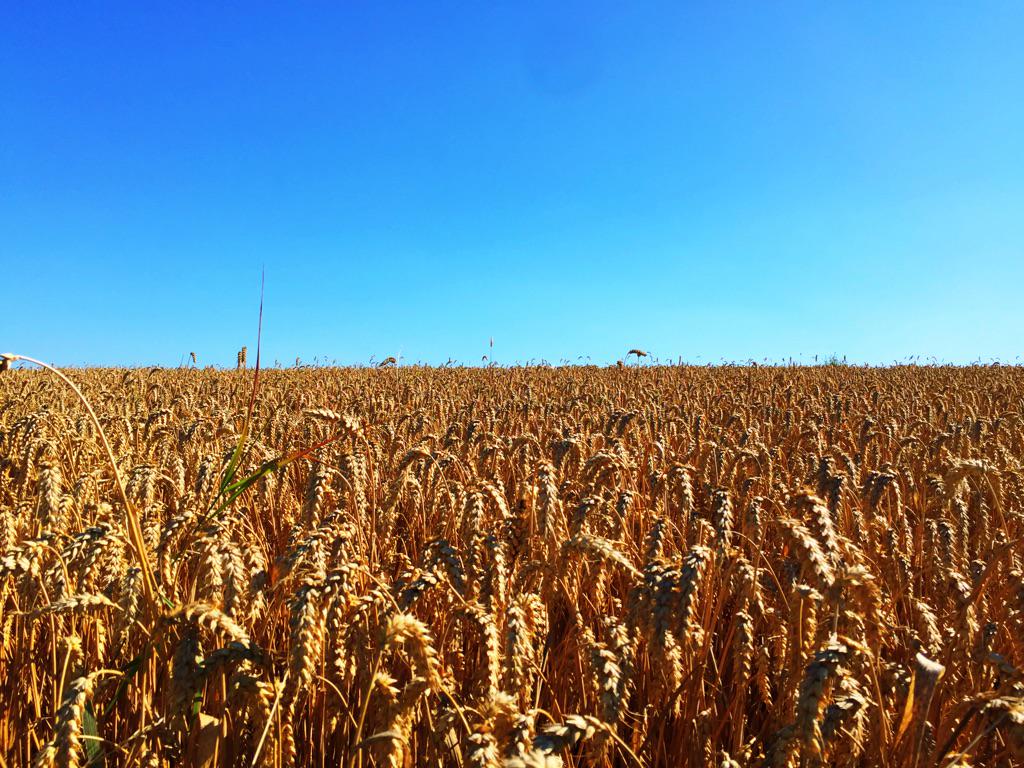 streetwrk's tweet photo. @EuromaidanGER http://t.co/0fYBmJW5hB