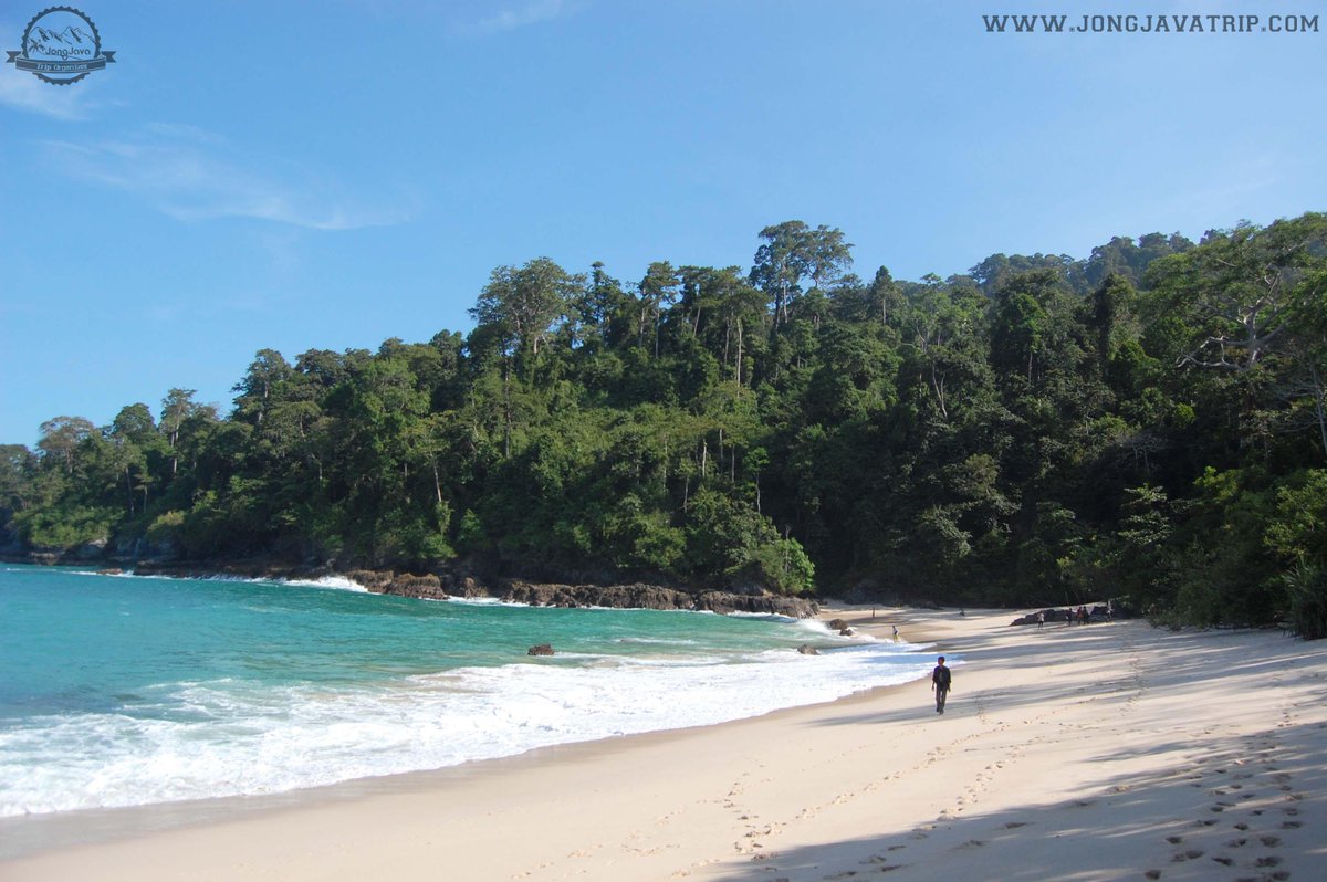 jongjavatrip's tweet image. 5.terletak di selatan BWI, yaitu teluk hijau.Teluk ini memiliki warna hijau jika di lihat dr ketinggian #overlandjava