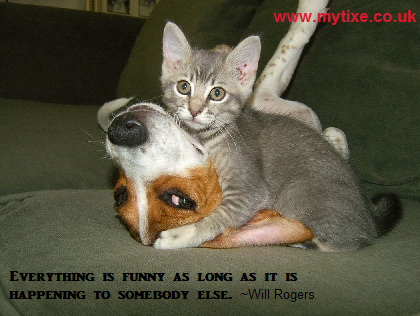 MyTIXE (@my_tixe) on Twitter photo 