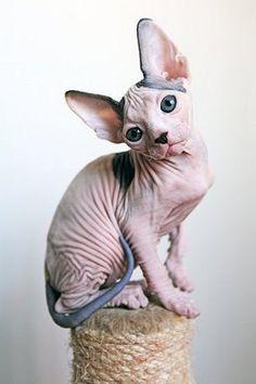 Here are my nudes <33