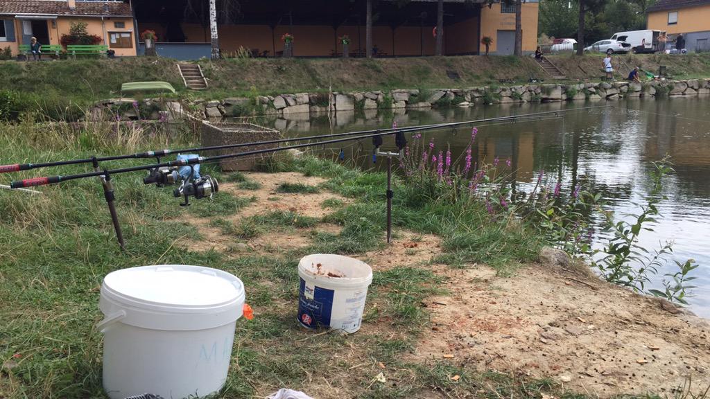 Steveizi tweet media