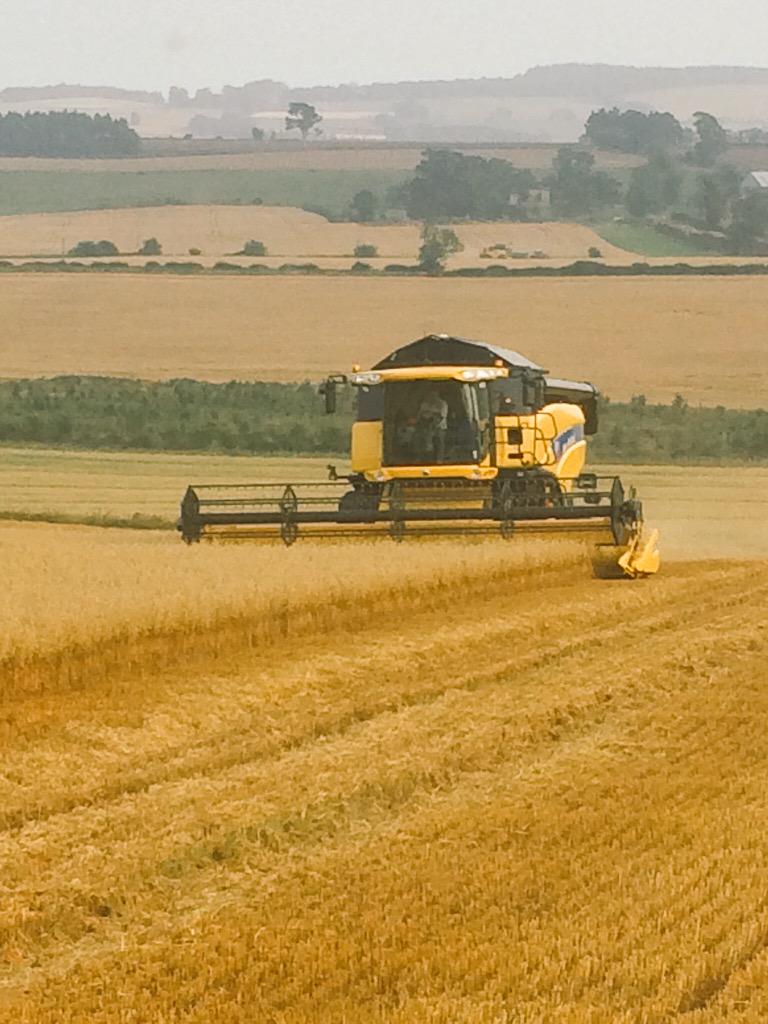 Harvest 2015 started #winter oats