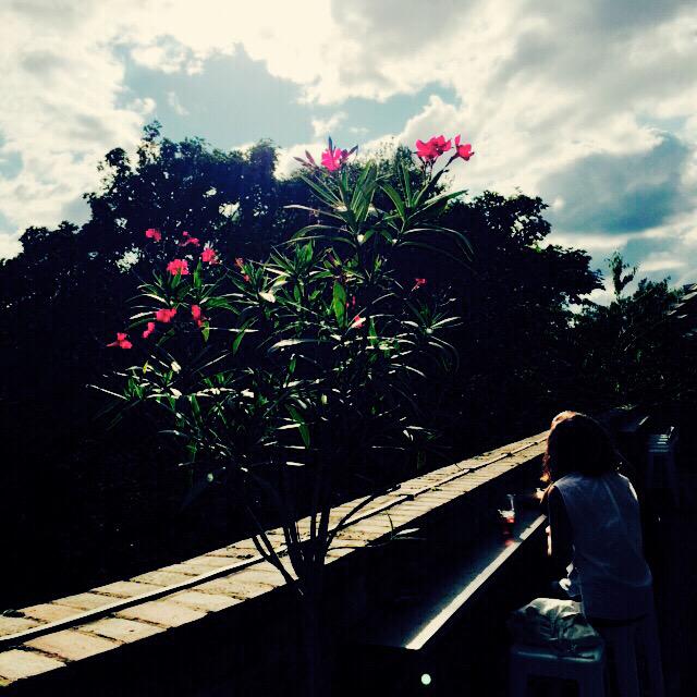 proofbarlondon's tweet photo. Sunday sunshine! http://t.co/0H4WSRJL9C