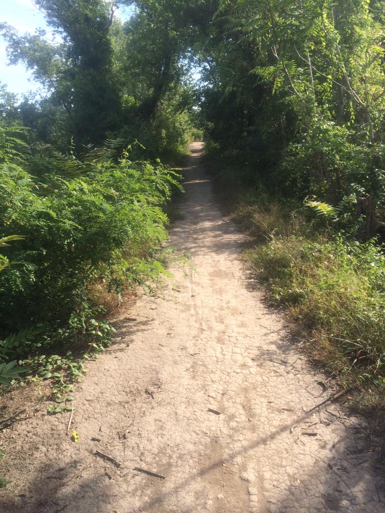 Will Starr tweet media