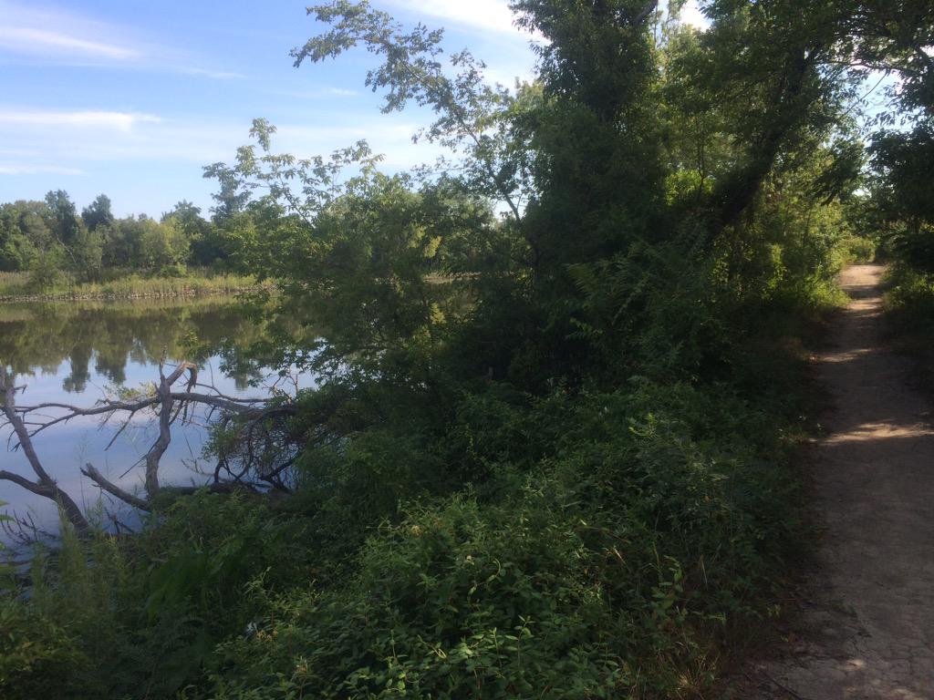 Will Starr tweet media