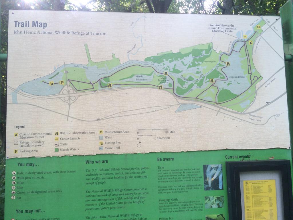 Will Starr tweet media